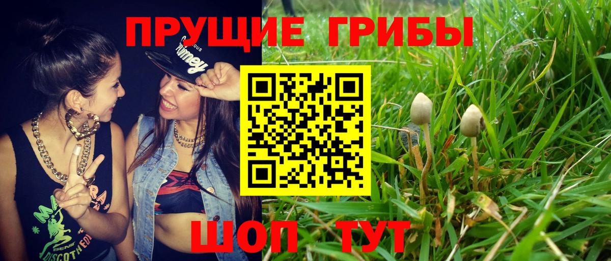 Псилоцибиновые грибы Magic Shrooms  Вход с VPN  Кунгур 